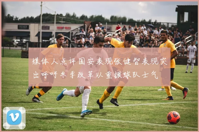 媒体人点评国安表现张健智表现突出呼吁冬季改革以重振球队士气