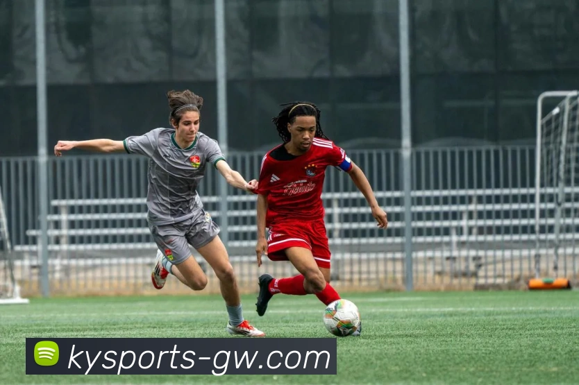 开云体育品牌故事